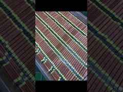 ओईएम उच्च तीव्रता यूवी इलाज लैंप 20000 घंटे जीवनकाल इंकजेट प्रिंटर के लिए​