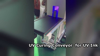 यूवी स्याही को ठीक करने के लिए यूवी इलाज कन्वेयर ड्रायर
